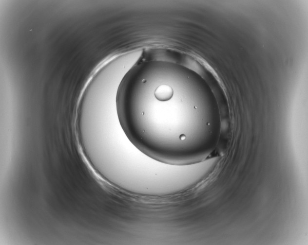 X0000086021434200704091105