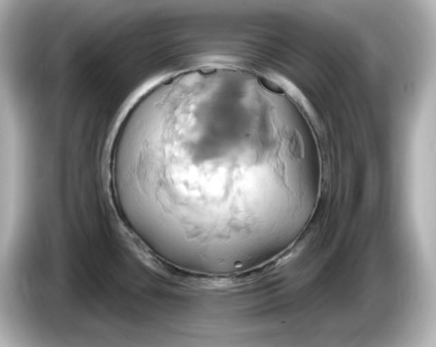 X0000086021435200704091105