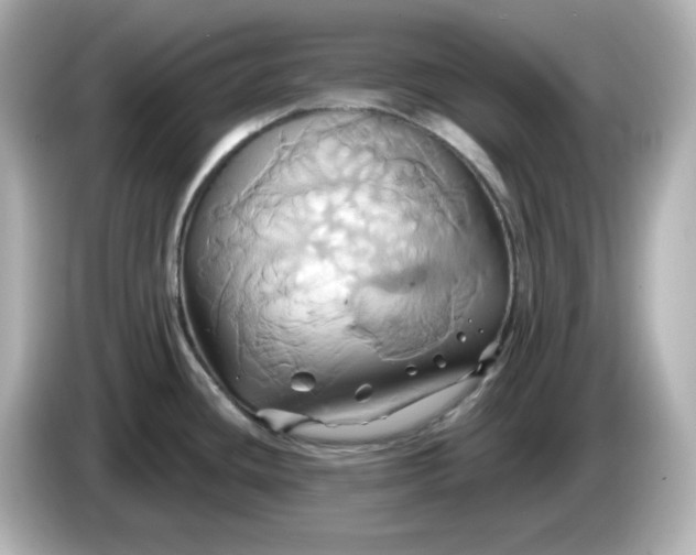 X0000086021436200704091105