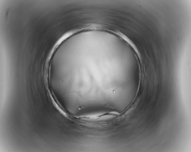 X0000086021437200704091105