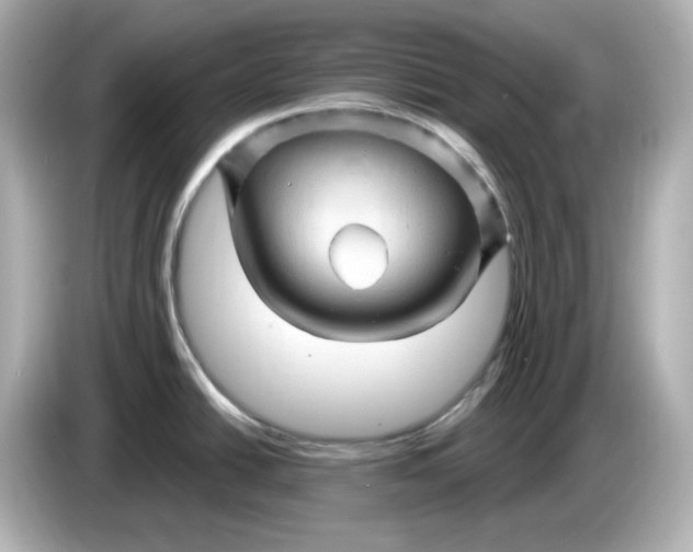 X0000086021438200704091105