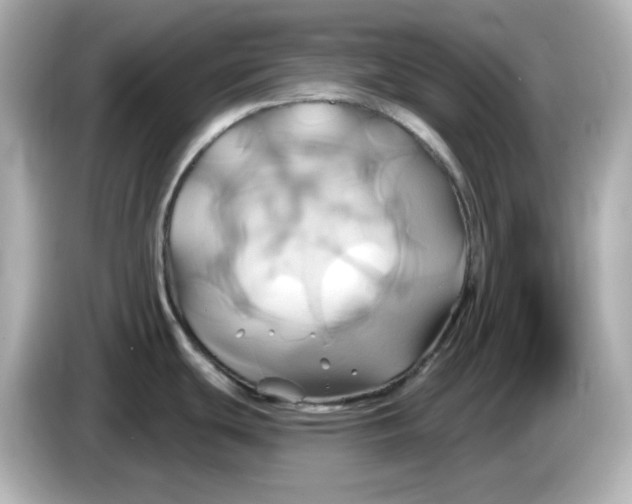 X0000086021439200704091105