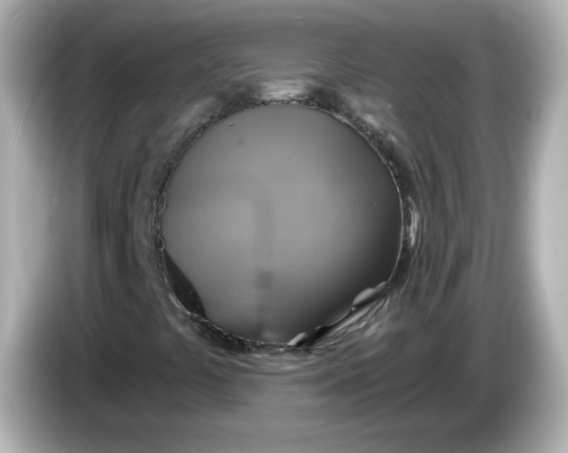 X0000086021441200704091105