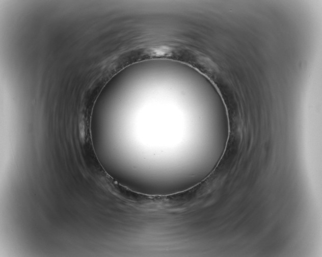 X0000086021442200704091105
