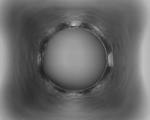 X0000086021443200704091105