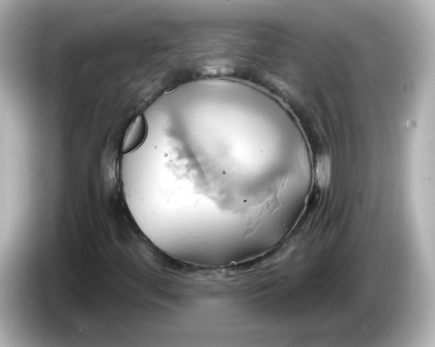 X0000086021444200704091105
