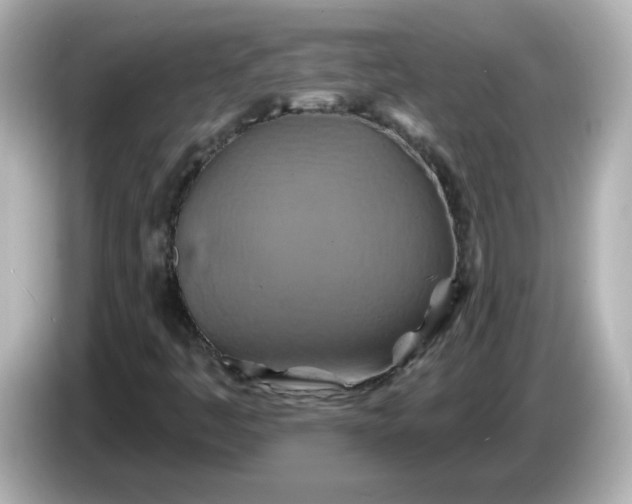 X0000086021445200704091105