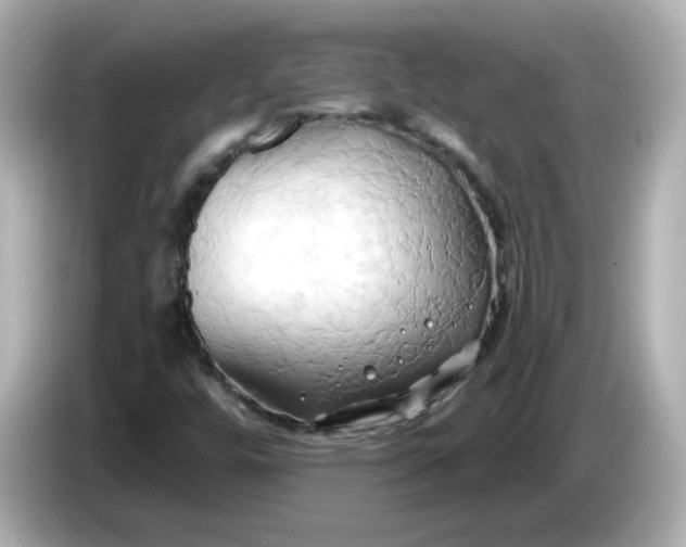 X0000086021448200704091105