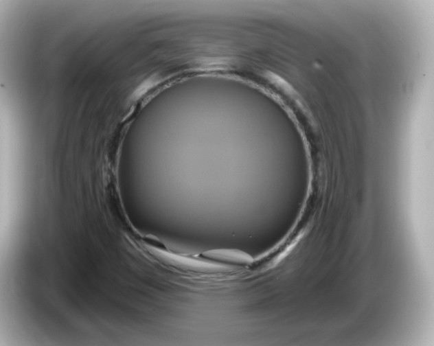 X0000086021449200704091105