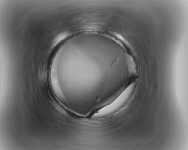 X0000086021450200704091105