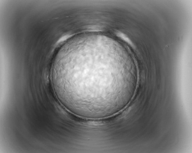 X0000086021451200704091105