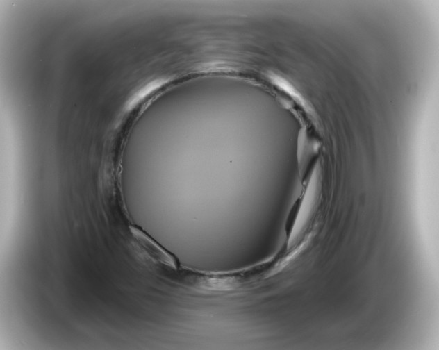 X0000086021453200704091105