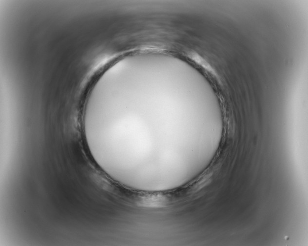 X0000086021454200704091105