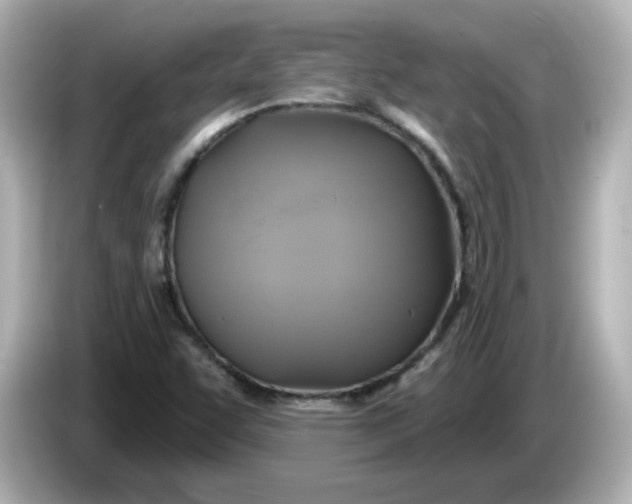 X0000086021455200704091105