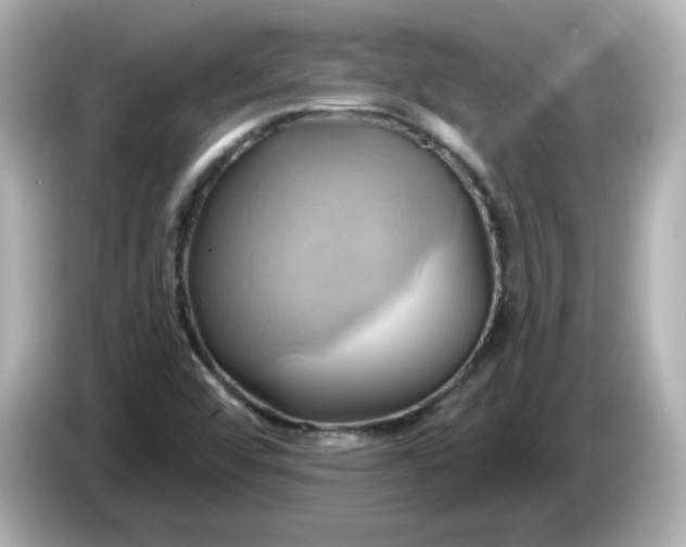 X0000086021456200704091105