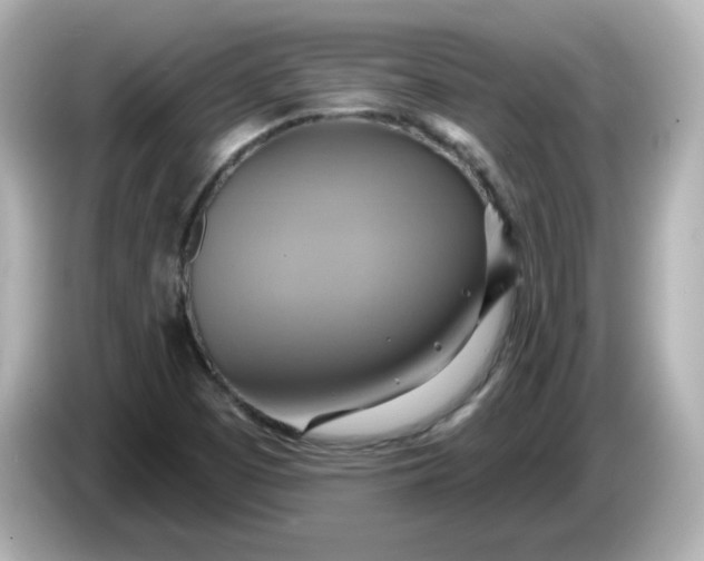 X0000086021457200704091105