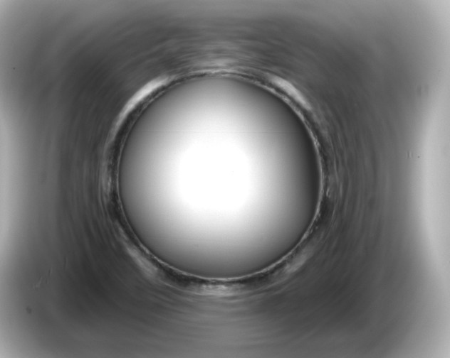 X0000086021458200704091105