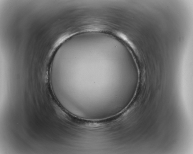 X0000086021459200704091105