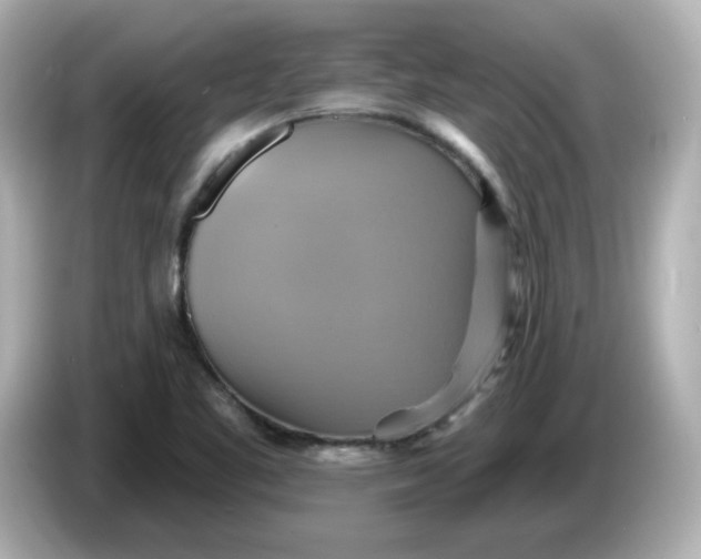 X0000086021461200704091105