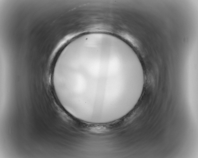 X0000086021462200704091105