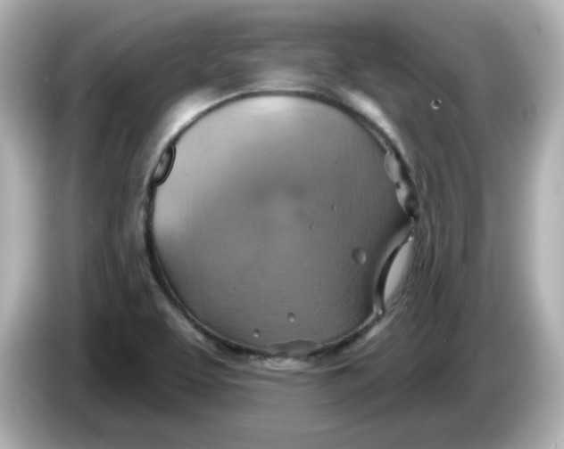 X0000086021463200704091105