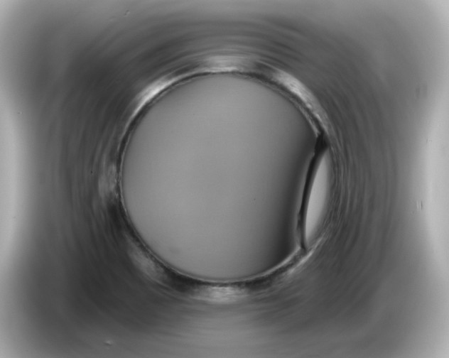 X0000086021465200704091105