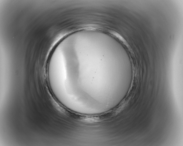 X0000086021466200704091105