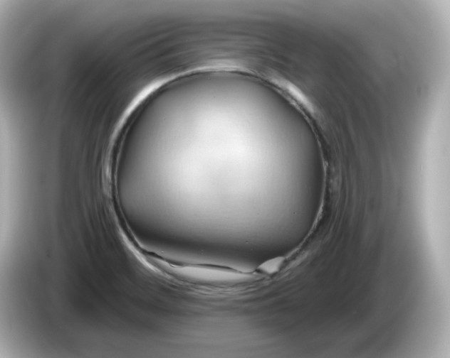 X0000086021468200704091105