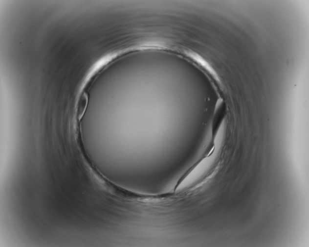 X0000086021469200704091105