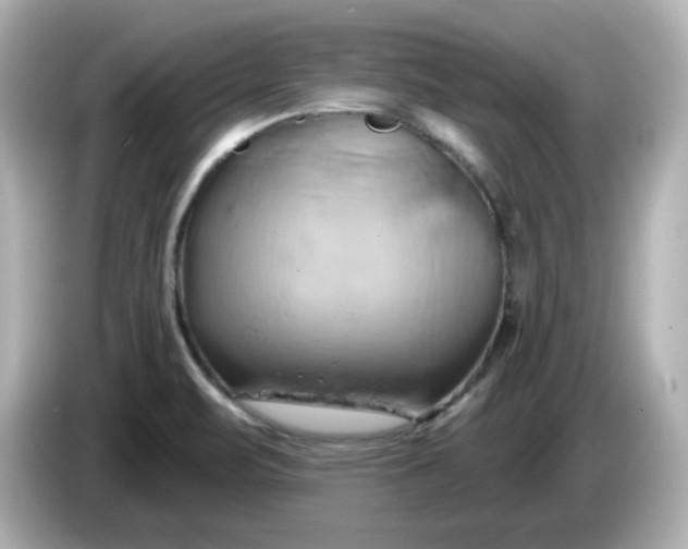 X0000086021471200704091105