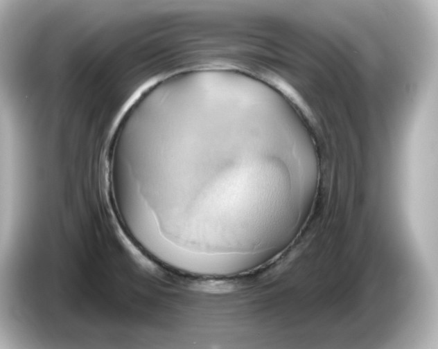 X0000086021476200704091104