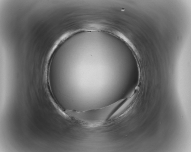 X0000086021477200704091104