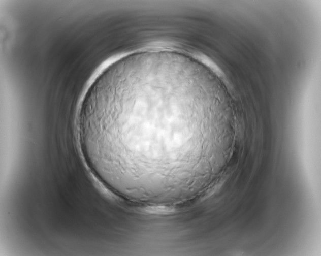 X0000086021478200704091104
