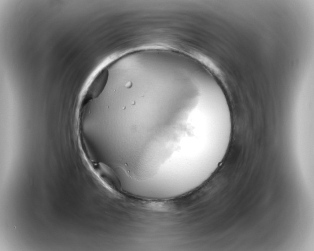 X0000086021480200704091104