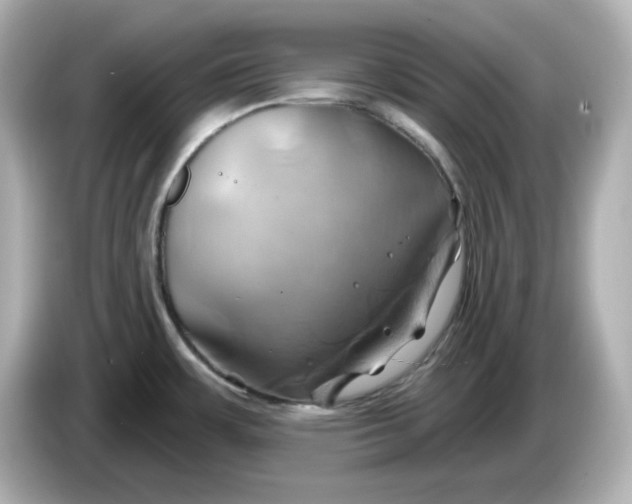 X0000086021483200704091104