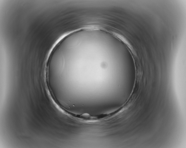 X0000086021484200704091104