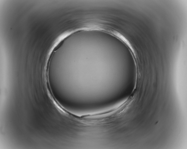 X0000086021485200704091104