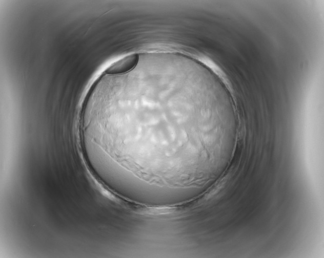 X0000086021486200704091104