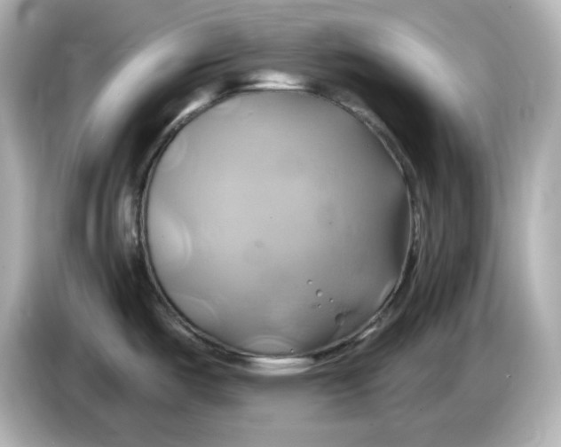 X0000086021487200704091104