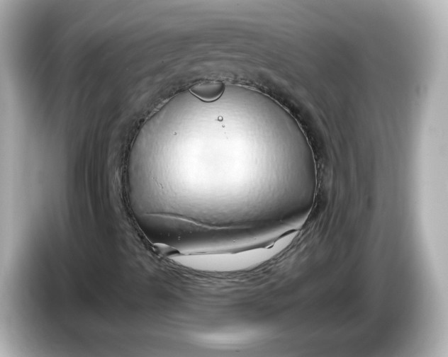 X0000086021489200704091104