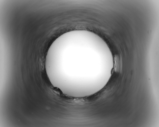 X0000086021491200704091104