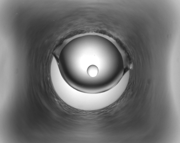 X0000086021492200704091104