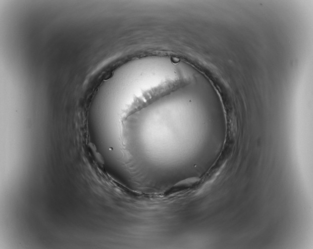 X0000086021494200704091104