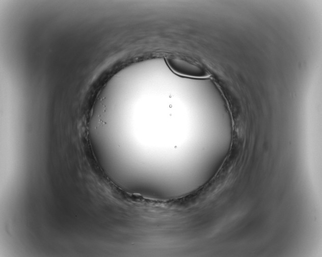 X0000086021495200704091104