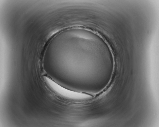 X0000086021497200704091104