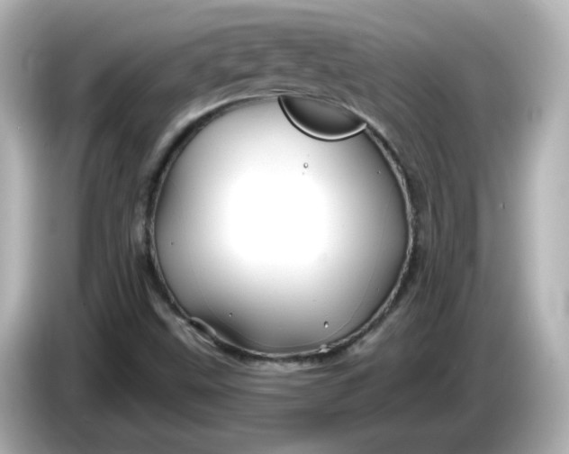 X0000086021499200704091104