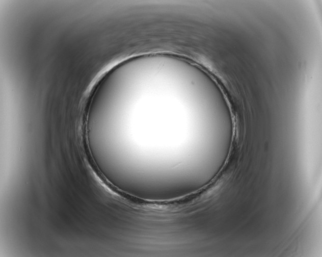 X0000086021500200704091104
