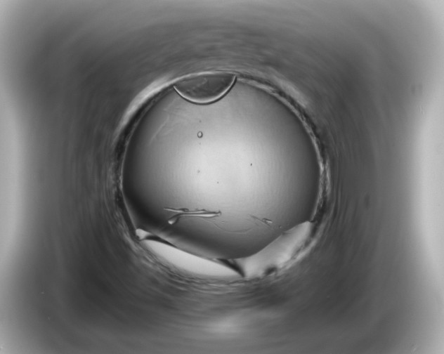 X0000086021501200704091104