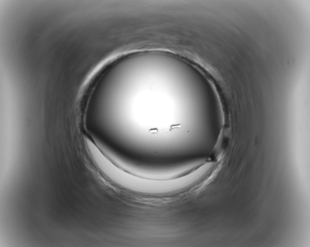 X0000086021502200704091104
