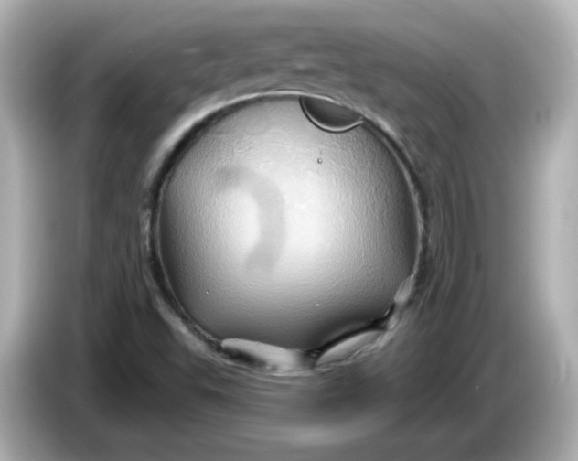 X0000086021503200704091104